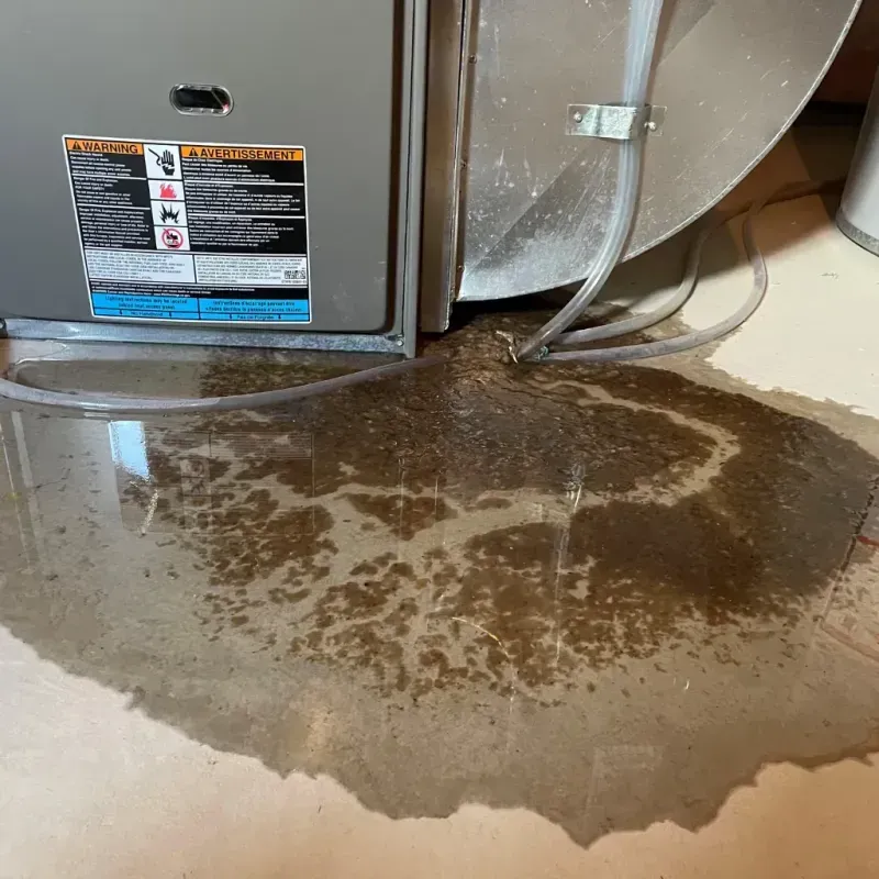 Appliance Leak Cleanup in Carroll County, KY